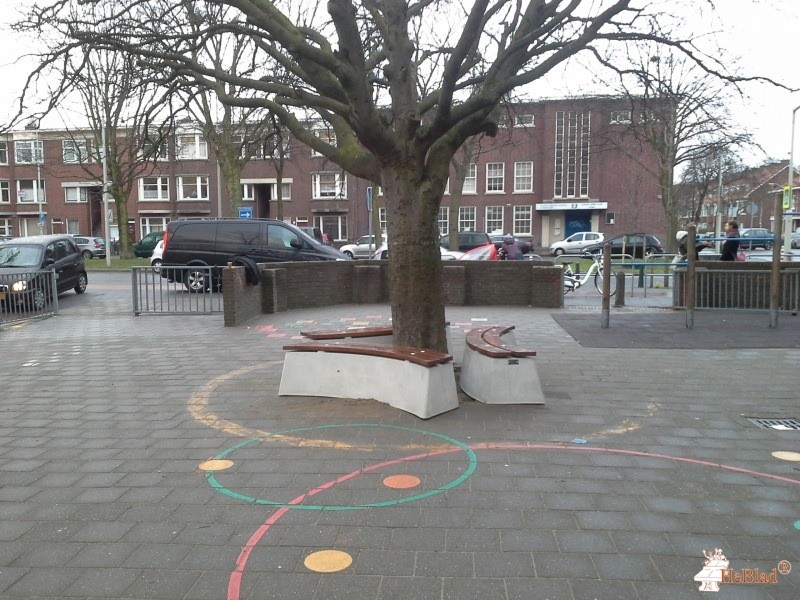 de la reyschool uit Den Haag