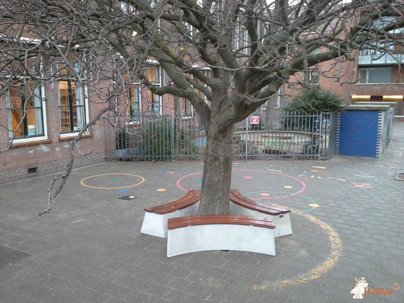 de la reyschool uit Den Haag