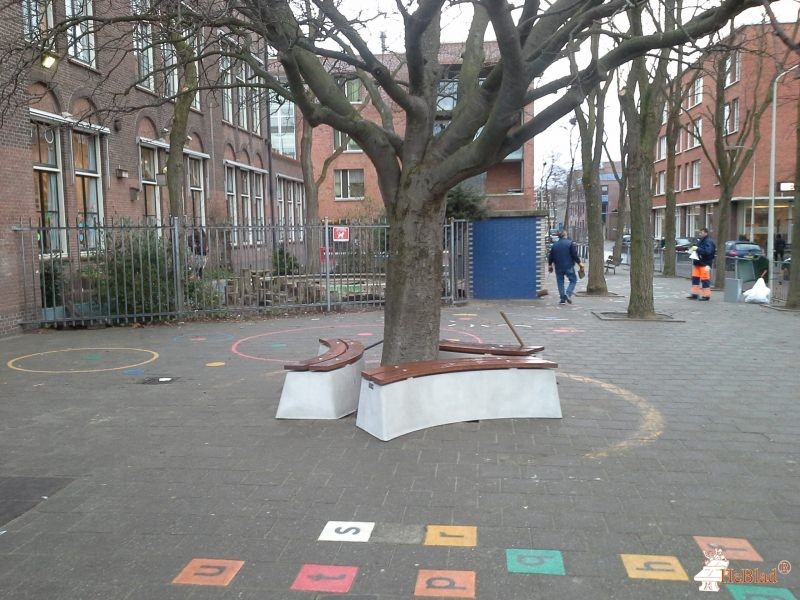 de la reyschool uit Den Haag