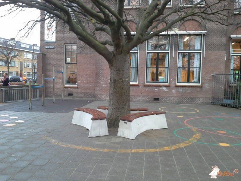 de la reyschool uit Den Haag