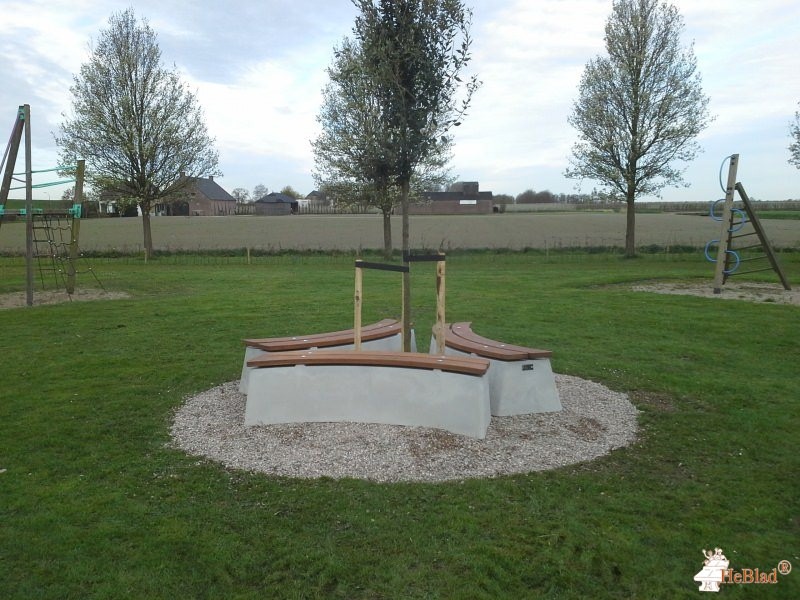 Rondom een boom in Nieuwendijk uit Goudswaard