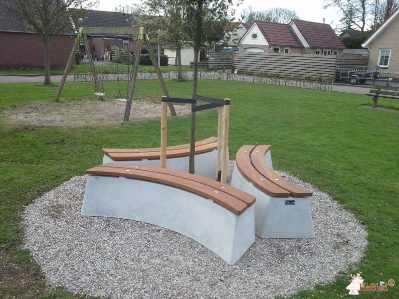 Rondom een boom in Nieuwendijk uit Goudswaard
