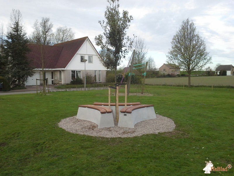 Rondom een boom in Nieuwendijk uit Goudswaard