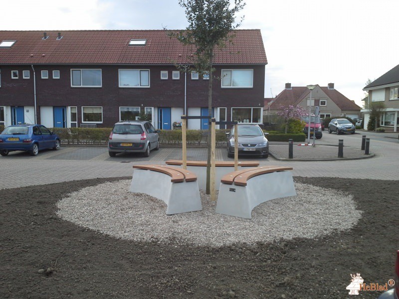 Rondom een boom in Zuid-Beijerland uit Zuid-Beijerland