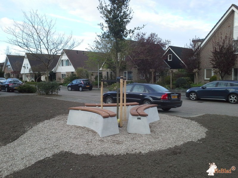 Rondom een boom in Zuid-Beijerland uit Zuid-Beijerland