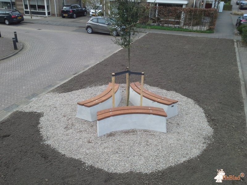 Rondom een boom in Zuid-Beijerland uit Zuid-Beijerland