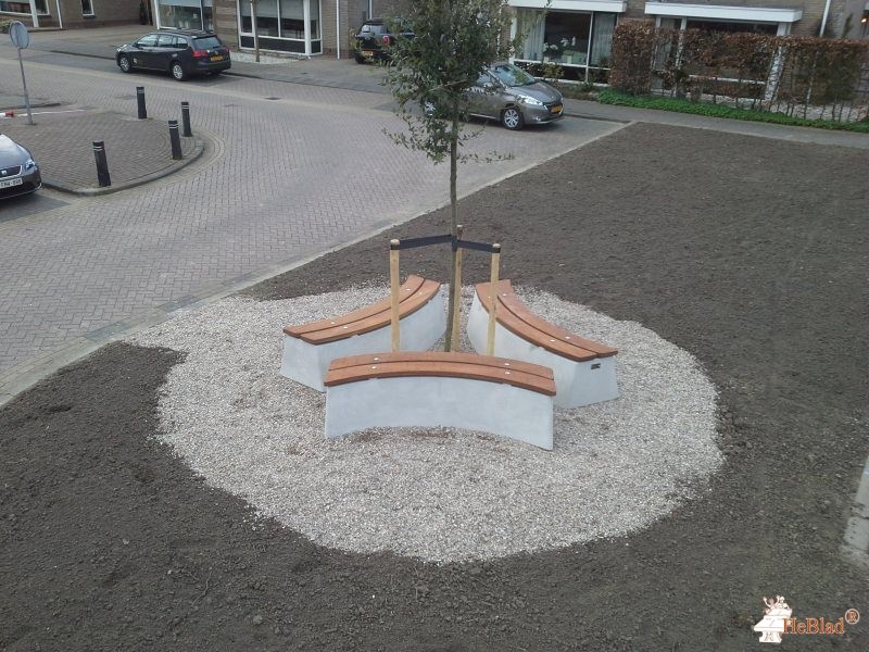 Rondom een boom in Zuid-Beijerland uit Zuid-Beijerland