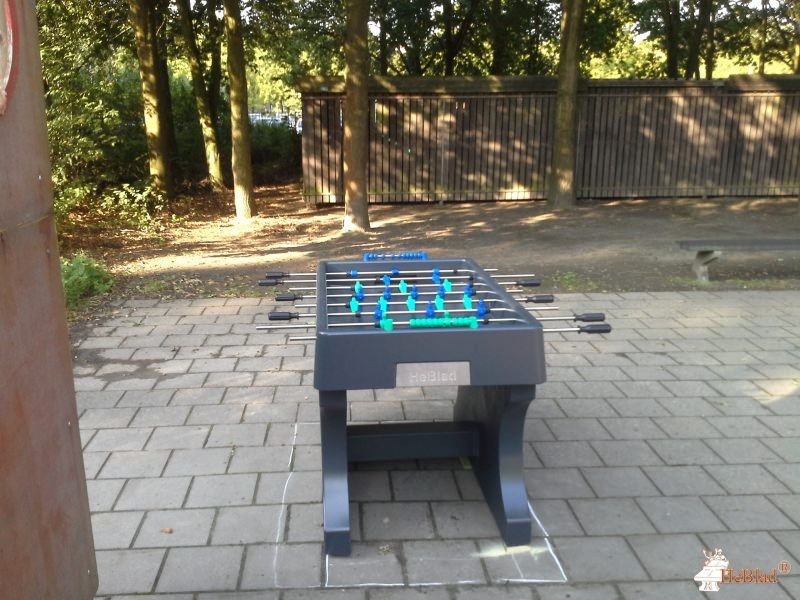 VSO De Taalbrug DG uit Eindhoven