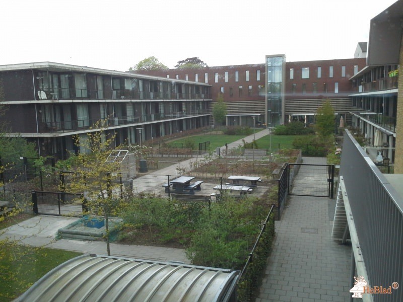 De Vonder uit Moergestel