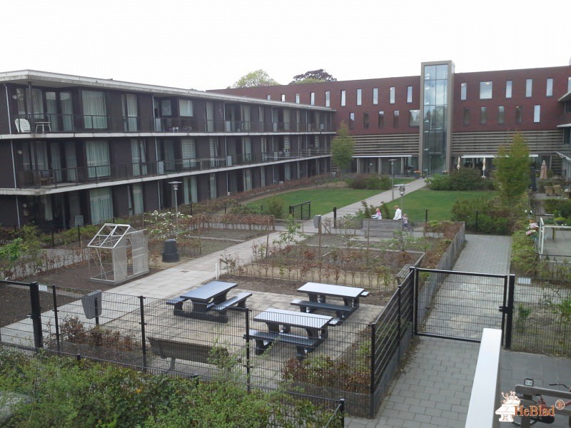 De Vonder uit Moergestel