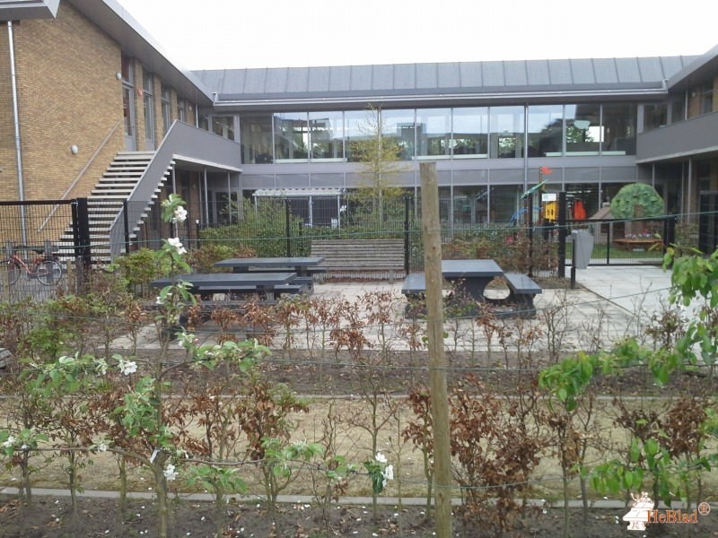 De Vonder uit Moergestel