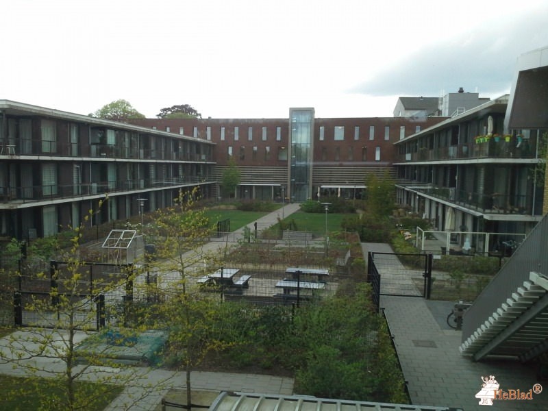 De Vonder uit Moergestel