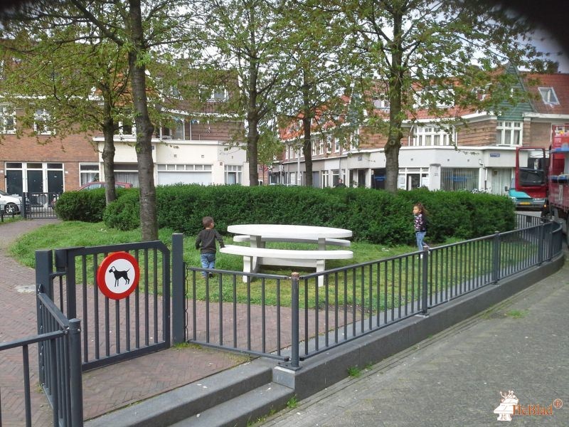 Gentiaanplein t/o nr 34 uit Amsterdam