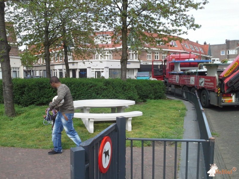 Gentiaanplein t/o nr 34 uit Amsterdam