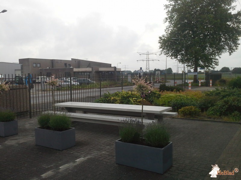 Dimass Group BV uit Haelen