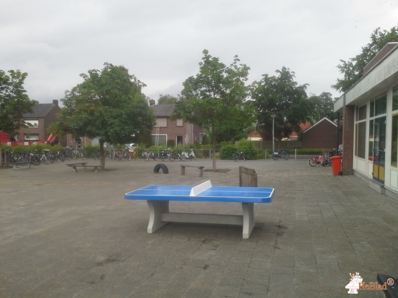 BS De Wouter uit America
