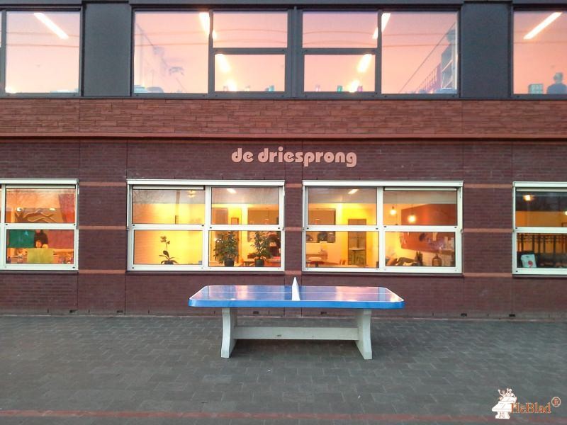 Gbs de Driesprong uit Assen