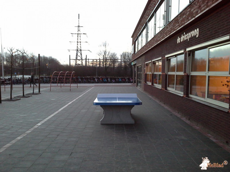 Gbs de Driesprong uit Assen