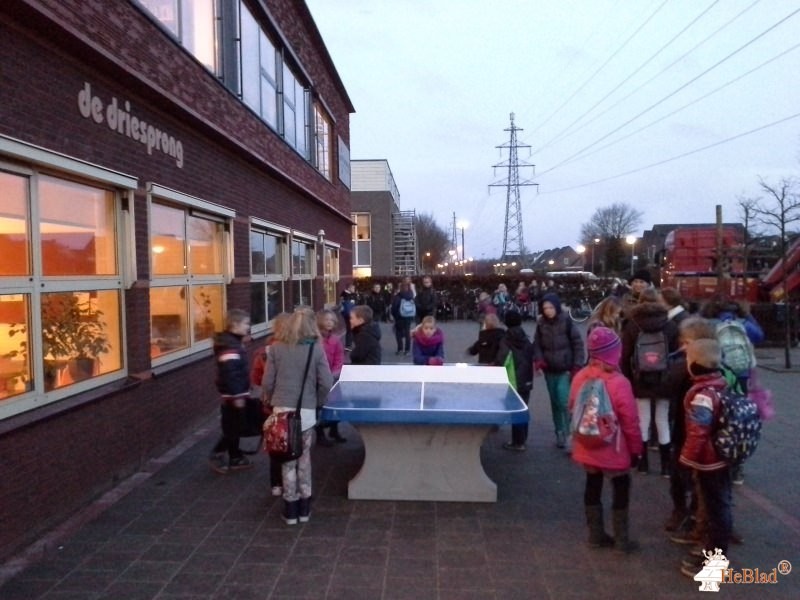 Gbs de Driesprong uit Assen