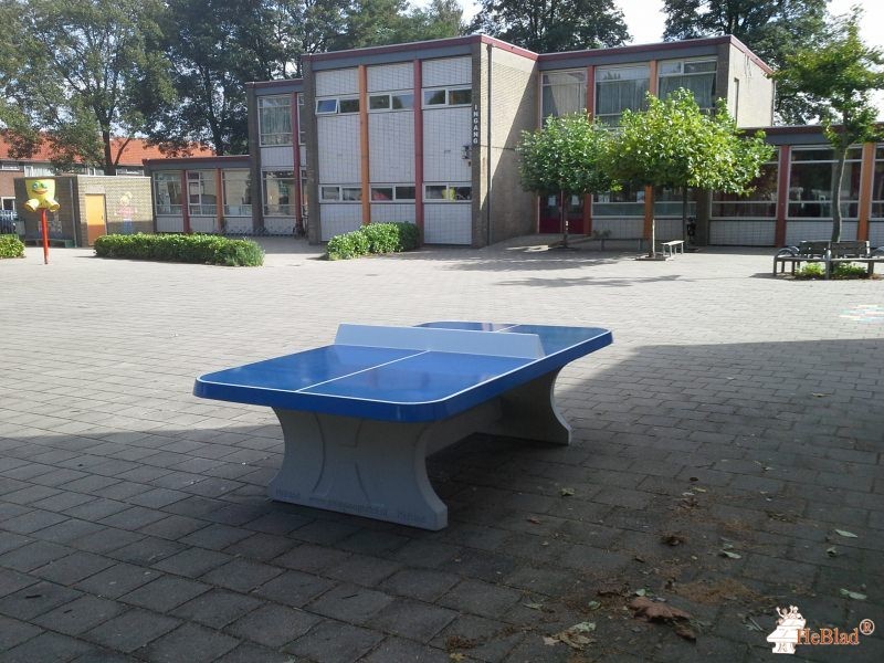  Kbs De Wisselaar uit Breda