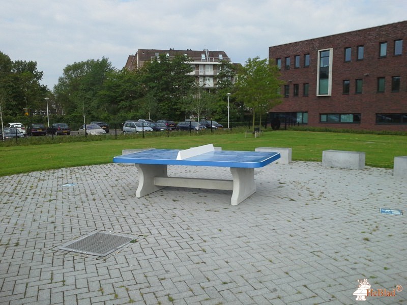 ROC Mondriaan uit Delft 