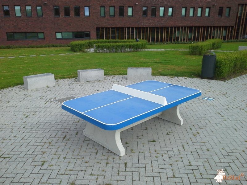 ROC Mondriaan uit Delft 