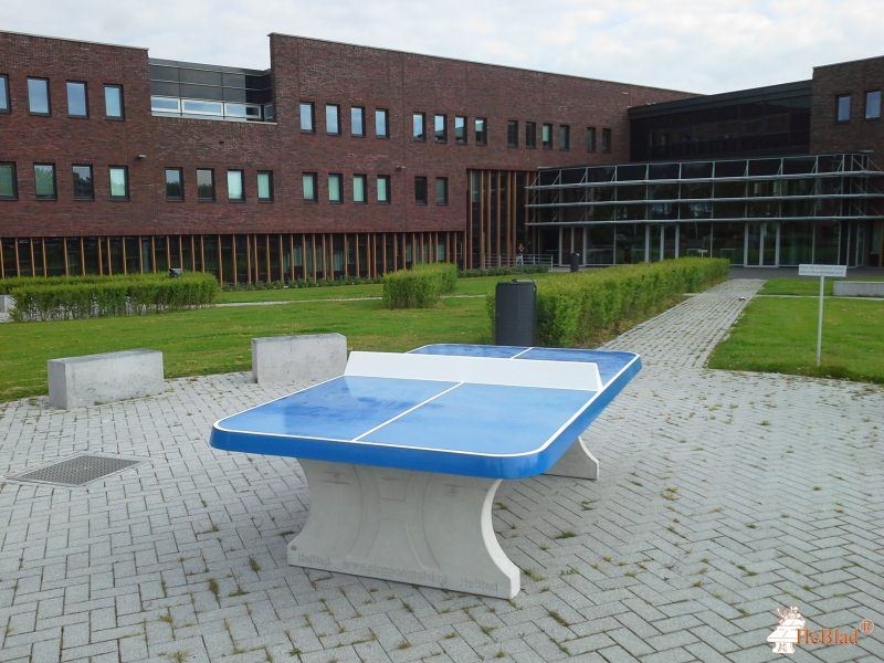 ROC Mondriaan uit Delft 