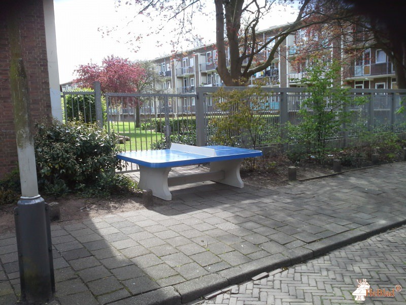 Binnentuin Anslostraat uit Den Haag