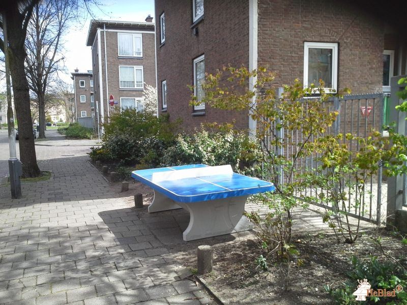 Binnentuin Anslostraat uit Den Haag