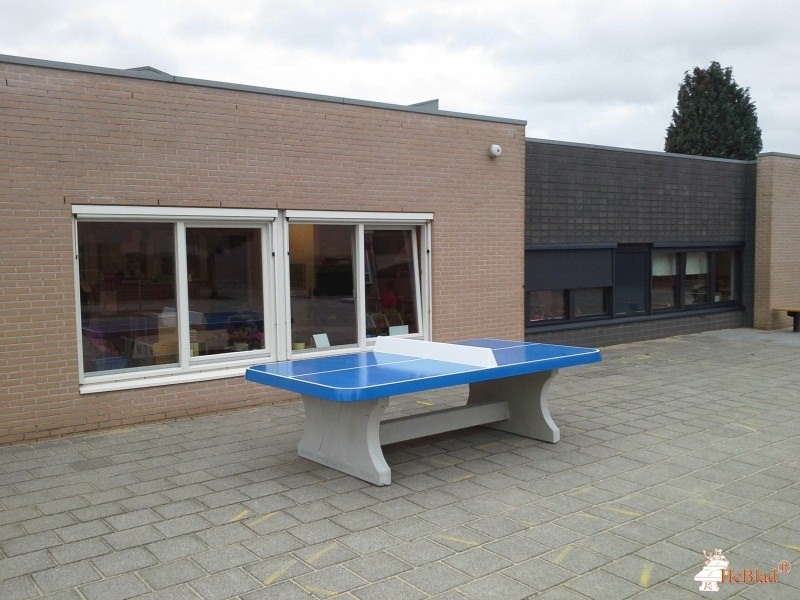 Basisschool de Verrekijker uit Ell