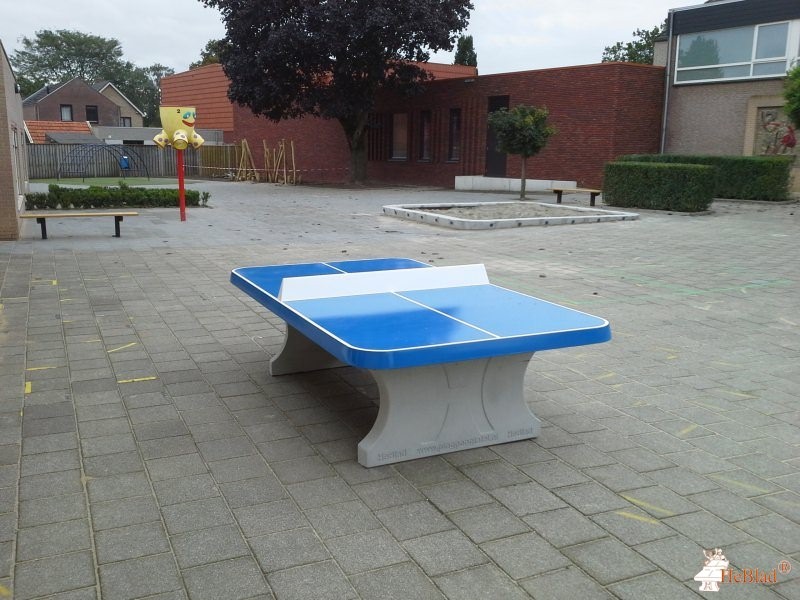 Basisschool de Verrekijker uit Ell