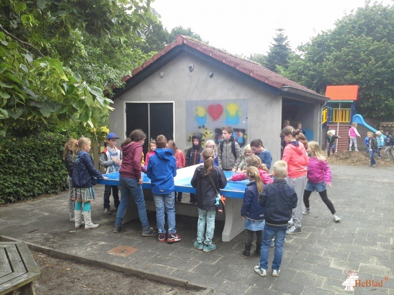 BS De Driehoek uit Griendtsveen