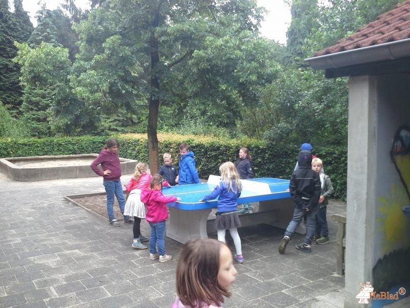 BS De Driehoek uit Griendtsveen
