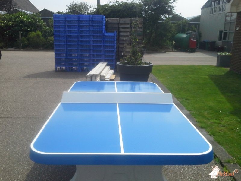 Rietvink Transport uit Julianadorp