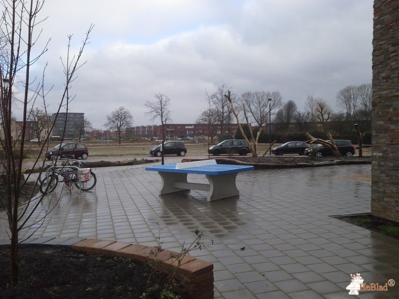 Basisschool De Verwondering uit Lent nijmegen