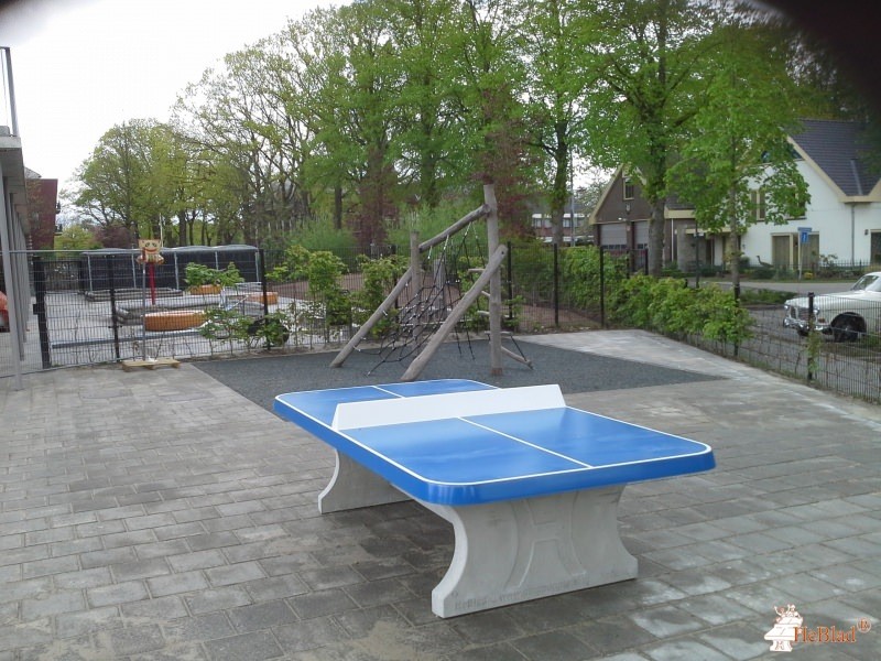 De Vonder uit Moergestel