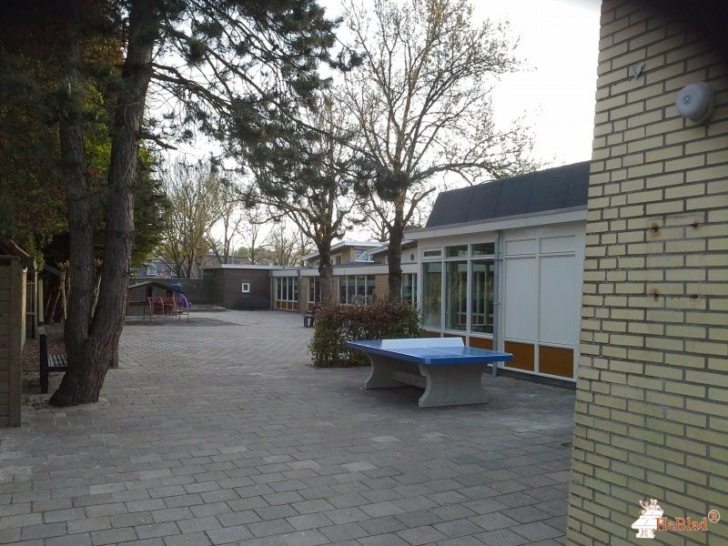 CBS Menso Altingh uit Paterswolde