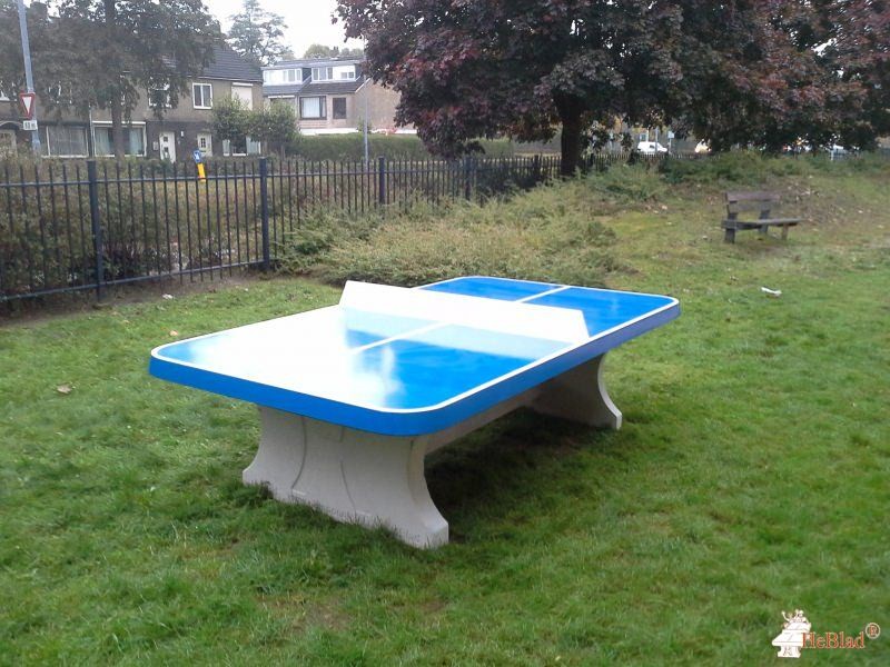 De Rietlanden uit 's-Hertogenbosch