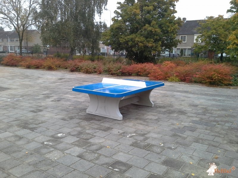 De Rietlanden uit 's-Hertogenbosch