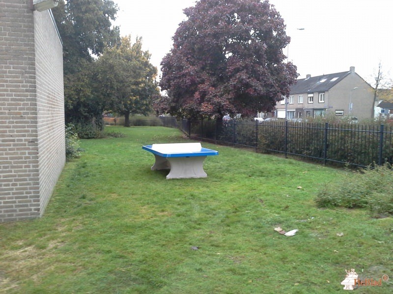 De Rietlanden uit 's-Hertogenbosch