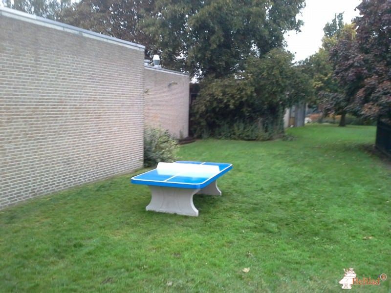 De Rietlanden uit 's-Hertogenbosch