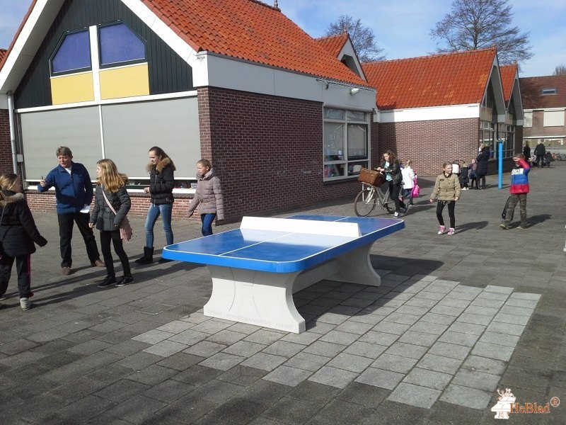 Basisschool de Spinmolen uit Volendam