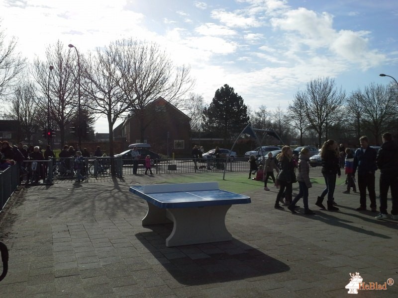 Basisschool de Spinmolen uit Volendam