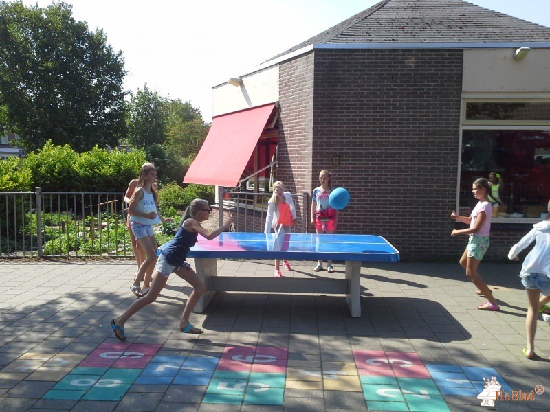 Basisschool De Springplank uit Volendam