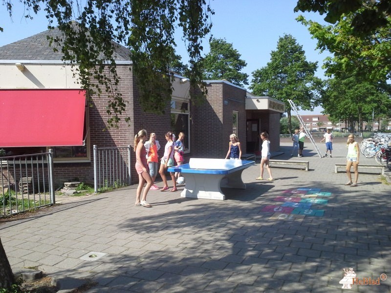 Basisschool De Springplank uit Volendam