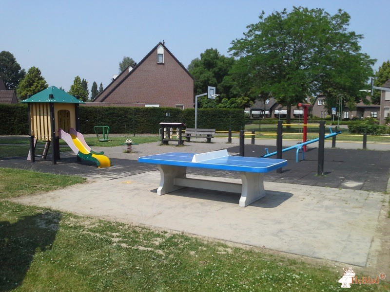 Plantsoen Bereklauw uit Werkendam