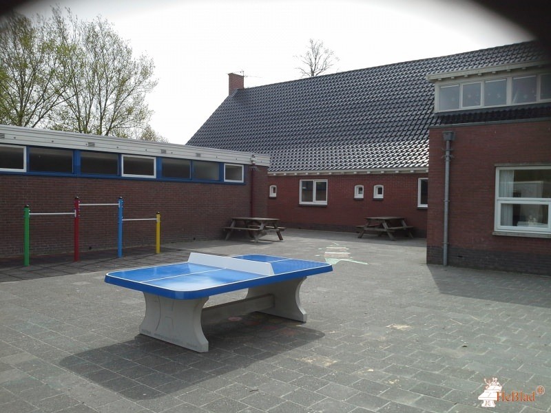 OBS FT Venemaschoool uit Westerlee