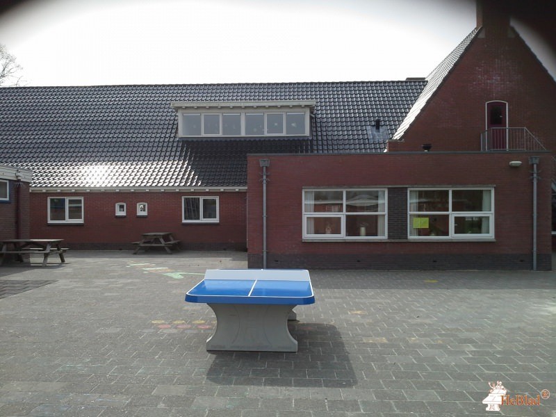 OBS FT Venemaschoool uit Westerlee