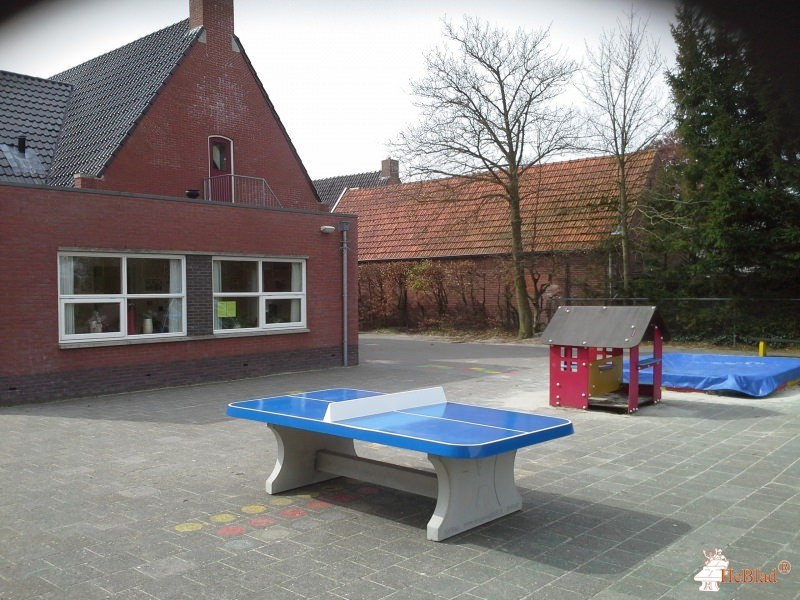 OBS FT Venemaschoool uit Westerlee