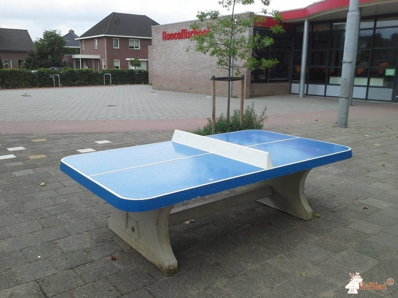 St. Suitbertusschool uit Zeddam